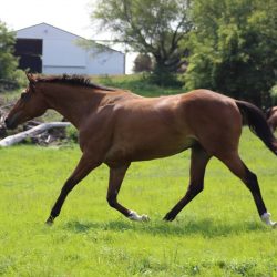 Windy Ridge Ranch - Saint-Paul.com